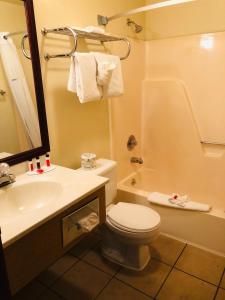 刘易斯顿Super 8 by Wyndham Lewiston的浴室配有卫生间、盥洗盆和淋浴。