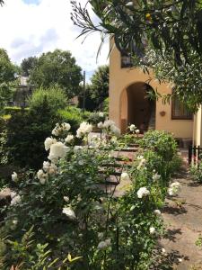 佛罗伦萨La Casa di Claudia的一座花园,在一座建筑前有白色玫瑰花