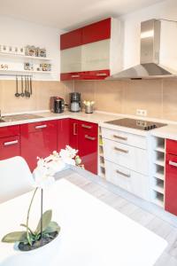 哈尔伯施塔特Ferienwohnungen am "Spiel-emagazin"的红色的厨房,配有白色和红色的橱柜