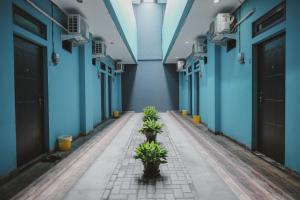 雅加达RedDoorz near RSUD Koja的走廊上两株植物,墙壁蓝色