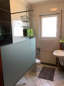 WimbachHotel garni Zum Adenauer Forst的一间带水槽和卫生间的浴室以及窗户。