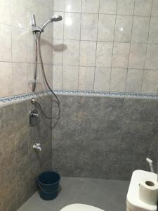 圣维森特Ferellee Beach Front Inn的浴室配有淋浴和卫生间。