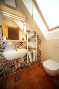 博希尼Planinski dom Savica的一间带水槽和卫生间的浴室