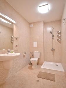 索非亚South Park, Vitosha View, 2-BDR, 2-BTHR Apartment的一间带水槽、卫生间和淋浴的浴室