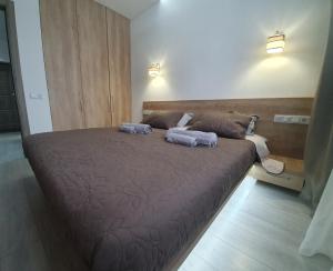 基辅LuxApartment的一间卧室配有一张大床和两条毛巾