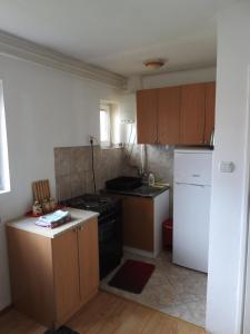 扎布利亚克乌索维克公寓的小厨房配有炉灶和冰箱