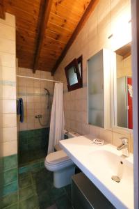 KalliópiLimnos Stone House的一间带水槽、卫生间和淋浴的浴室