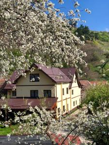 瑟利什泰Pensiunea Domnescu的前面有一棵开花的树的房子