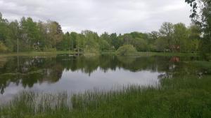 KnivstaSollyckan的一座大湖,有树木在后面