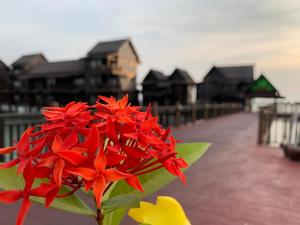 珍南海滩Langkawi Lagoon Resort Water Chalet的相册照片