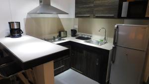 拉戈莱特阿肯斯通公寓的一间带水槽和冰箱的小厨房