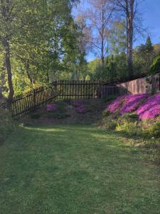 KraslicePenzion Tereza的紫色花 ⁇ 前的围栏