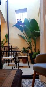 卡塞雷斯Castillo 13的一间房间,配有两把椅子和一张桌子,还有植物