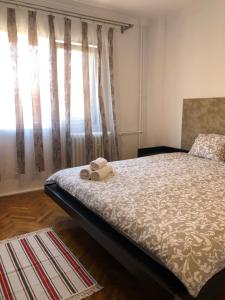 德罗贝塔-塞维林堡Blue Apartment的一间卧室配有床和带窗帘的窗户