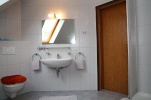 多鲁姆纽菲尔德Ferienwohnung am Schwarzen Wehl的一间带水槽、卫生间和镜子的浴室