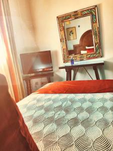 托莱多德尔卡德纳尔庄园酒店的一间卧室配有一张床、镜子和电视