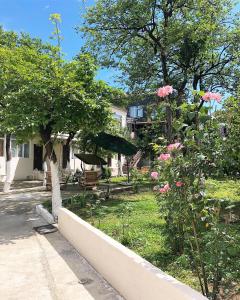 巴统Batumi Summer Hotel的一座种有粉红色花卉和树木的花园,