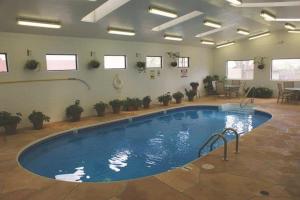 凯恩塔维特日尔汽车旅馆的盆栽室里的一个大型游泳池