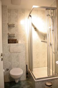 岑平Haus Vineta, Wohnung 7的一间带卫生间和淋浴的浴室