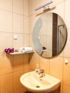 蒂萨菲赖德Boró Apartman的一间带水槽和镜子的浴室