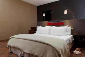 圣佩德罗·德·阿塔卡马Nayara Alto Atacama的一张配有白色枕头的大床,位于酒店客房内