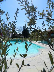 蒙代列赫Hotel Restaurant La Martiniere的拥有蓝色海水和树木的游泳池