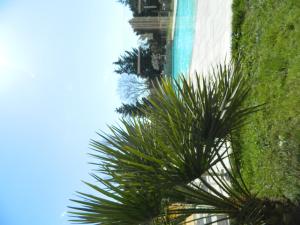 蒙代列赫Hotel Restaurant La Martiniere的一座建筑前的棕榈树
