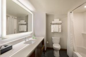 奥兰多Holiday Inn & Suites Orlando SW - Celebration Area, an IHG Hotel的一间带水槽、卫生间和镜子的浴室