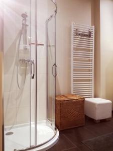 布鲁塞尔Brugmann Loft Apartment的带淋浴和卫生间的浴室。