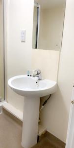 埃文河畔斯特拉特福The Queens Head的浴室设有白色水槽和镜子