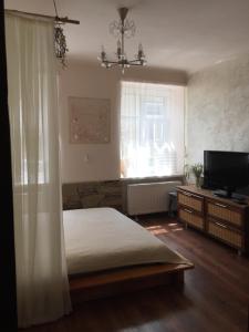 利沃夫Heart of Lviv的一间卧室配有一张床和一台平面电视