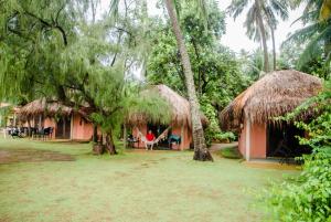 雅帕拉廷加Pousada Doze Cabanas的森林中带两个茅草屋的房子