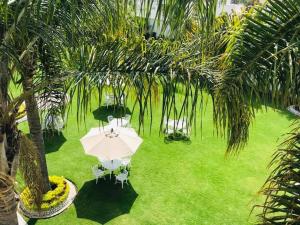 乔卢拉波萨达玛利亚索菲亚酒店的享有带遮阳伞和椅子的草坪的顶部景色