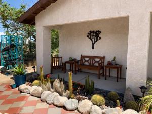 约书亚树Casa De Frank的庭院设有仙人掌和长凳的花园