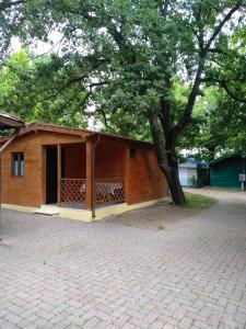 马里纳迪马萨Camping Luni的前面有一棵树的小建筑