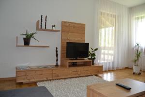布鲁尼科Apartment Lukas Huber的客厅配有木桌上的电视