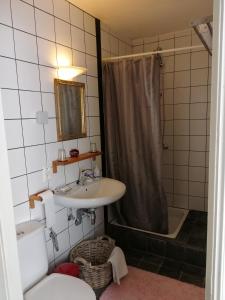 兹瓦尔姆约翰之旅馆的一间带水槽、淋浴和卫生间的浴室
