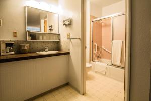 约翰迪Dreamers Lodge的一间带水槽、卫生间和淋浴的浴室
