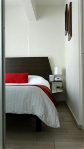 普埃布拉Metropolis Suites Ejecutivas的一间卧室配有一张带红色枕头的大床