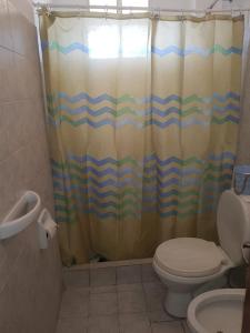 拉里奥哈Departamento Centro的带淋浴帘和卫生间的浴室