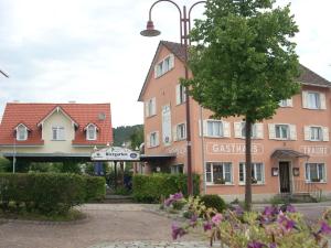 博德曼路德维希港Gasthaus Traube, Ludwigshafen, Bodensee, Seenah gelegen的城镇中一条有建筑和鲜花的街道