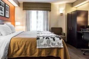 布里奇波特Quality Inn Bridgeport-Clarksburg的配有一张床、一张书桌和一扇窗户的酒店客房