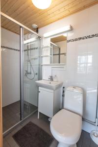 Ahmovaara科里闲暇时光旅馆的浴室配有卫生间、盥洗盆和淋浴。
