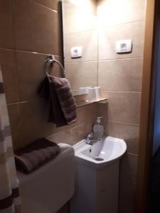 摩拉瓦托普利采塔拉旅馆的一间带水槽和卫生间的小浴室