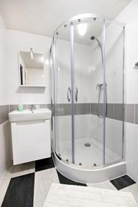 维尔奇斯拉夫科夫Apartmán Theo的带淋浴和盥洗盆的浴室