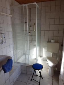 西奥-西布鲁克Brausamhof的带淋浴、卫生间和凳子的浴室