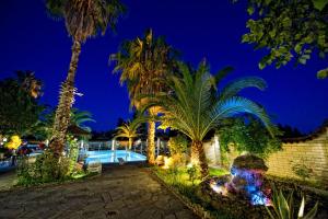 卡斯特罗西基亚Nepheli Hotel的棕榈树后院和夜间游泳池