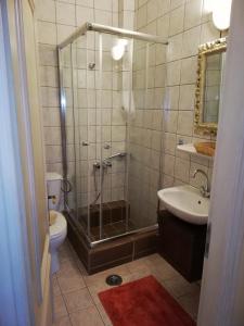 希拉科Stavraetos的带淋浴、卫生间和盥洗盆的浴室