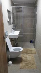 采尔克诺Apartma Opalika的浴室配有卫生间、盥洗盆和淋浴。