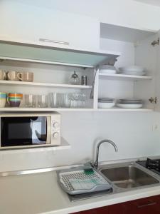 诺瓦利娅Apartman Bruna的厨房柜台设有水槽和微波炉